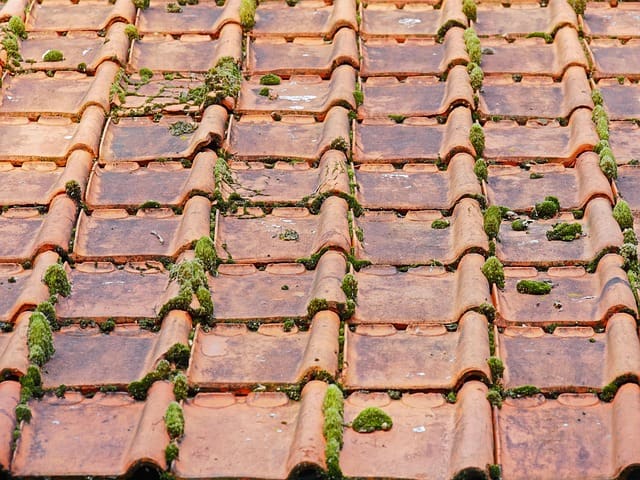 Démoussage Démoussage de toiture